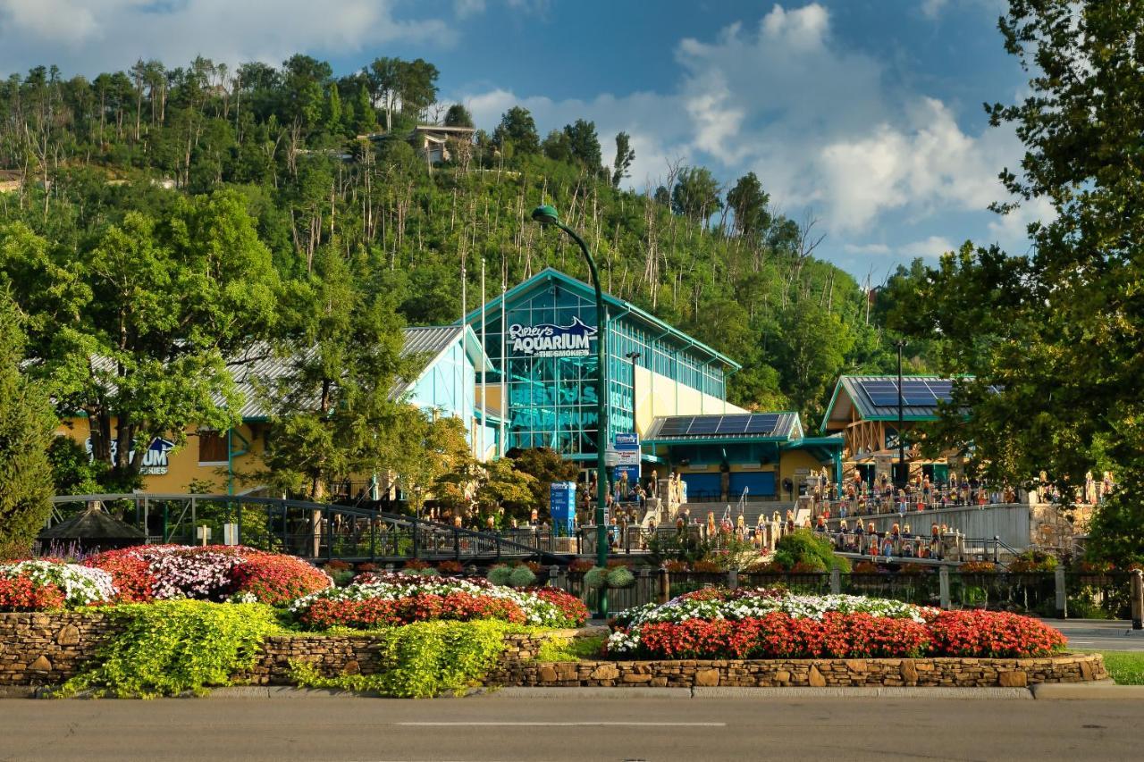 Bluebearry Patch Vila Gatlinburg Exterior foto